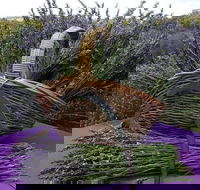 Rustique Lavender Farm - Hervey Bay Accommodation