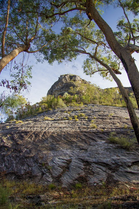 Salvator Rosa, Carnarvon National Park - Hervey Bay Accommodation 1