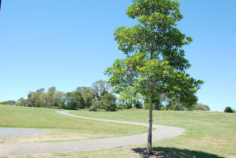 Samford Valley Rail Trail - Hervey Bay Accommodation 2