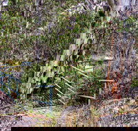 Sawpit Walking Track - Hervey Bay Accommodation