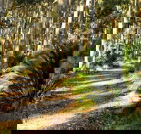 Square Head Track 2 - Hervey Bay Accommodation