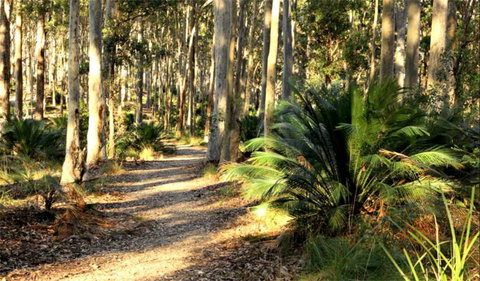Square Head Track 2 - Hervey Bay Accommodation 0