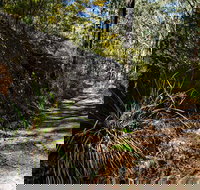 Starlights Trail - Tourism Hervey Bay