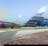 Tabcorp Park - Hervey Bay Accommodation