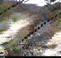 The Falls Water Falls - Tourism Hervey Bay