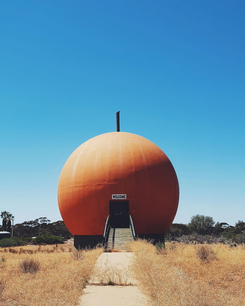The Big Orange - Hervey Bay Accommodation 0
