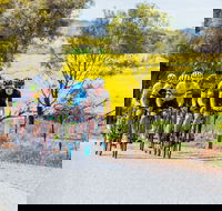 The Heron's Highway - Avon River Cycle Trail - Hervey Bay Accommodation