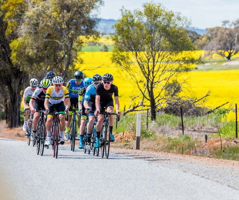 The West Side Story - Avon River Cycle Trail - Hervey Bay Accommodation 1