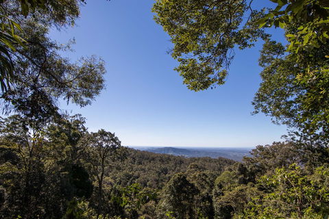 Thylogale Track - Tourism Hervey Bay 2