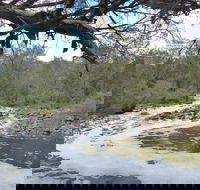 Walyunga National Park - Hervey Bay Accommodation