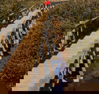 Warringine Park  Bittern Coastal Wetlands Boardwalk - Hervey Bay Accommodation