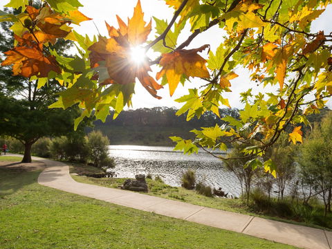 Wentworth Falls Lake - Hervey Bay Accommodation 0