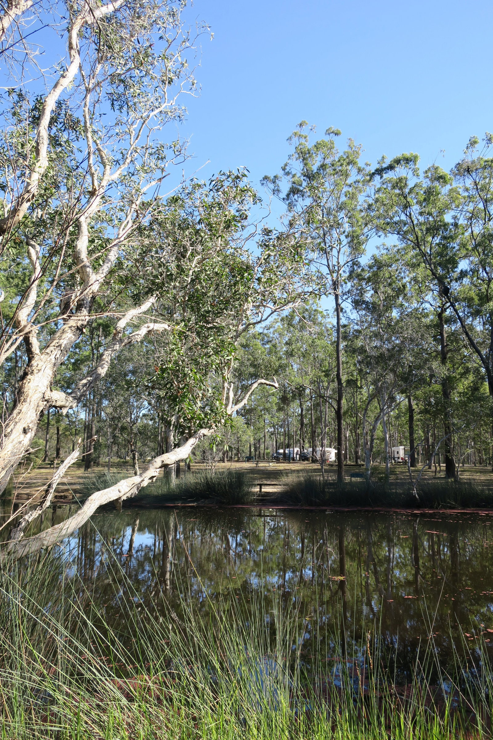 Duckinwilla QLD Hervey Bay Accommodation
