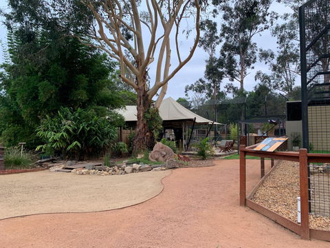 Zambi Wildlife Retreat - Hervey Bay Accommodation 2