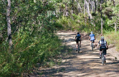Andersons Trail - Hervey Bay Accommodation 0