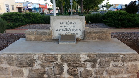 Barmera Horse Trough - Hervey Bay Accommodation 0