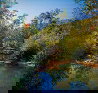 Bargo State Conservation Area - Tourism Hervey Bay