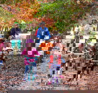 Beechworth to Everton Station 16km - Hervey Bay Accommodation