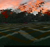 Bellingham Maze - Hervey Bay Accommodation