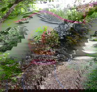 Black Dragon Gardens Wulong Yuan - Hervey Bay Accommodation