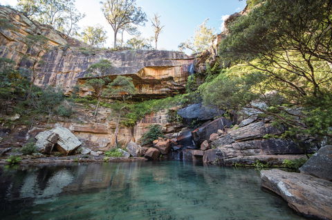 Blackdown Tableland National Park - Hervey Bay Accommodation 1