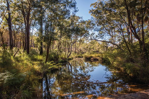 Blackdown Tableland National Park - Hervey Bay Accommodation 2