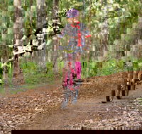 Bom Bom State Forest Mountain Bike Trails - Hervey Bay Accommodation