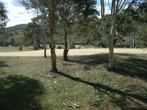 Bombala Platypus Reserve - Hervey Bay Accommodation 0