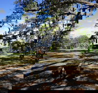 Bowen Mountain Park - Hervey Bay Accommodation