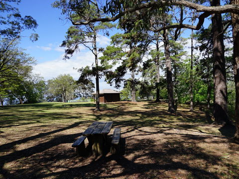 Bowen Mountain Park - Hervey Bay Accommodation 0
