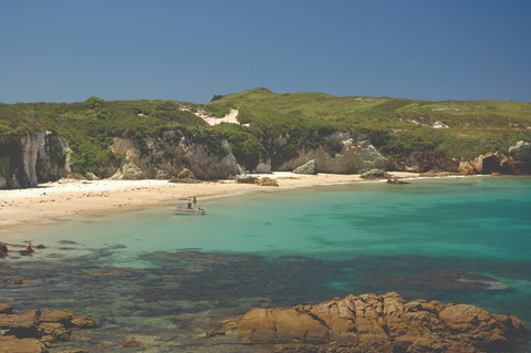 Broughton Island - Hervey Bay Accommodation 1