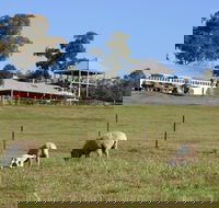 Calmsley Hill City Farm