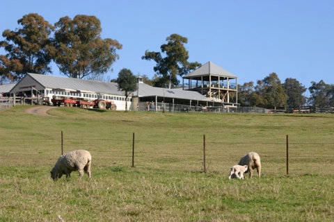 Calmsley Hill City Farm - Hervey Bay Accommodation 0