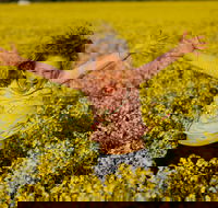 Canola Trail - Hervey Bay Accommodation