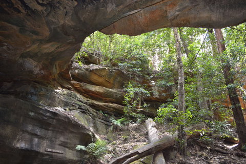 Cave Creek Walking Track - Hervey Bay Accommodation 0