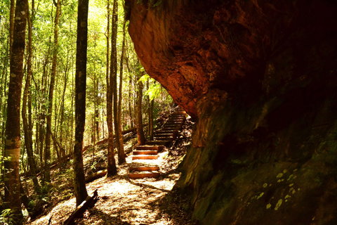 Cave Creek Walking Track - Hervey Bay Accommodation 1