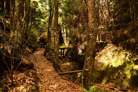 Cave Creek Walking Track - Hervey Bay Accommodation 2