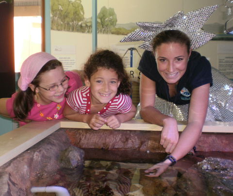 Central Coast Marine Discovery Centre - Hervey Bay Accommodation 0
