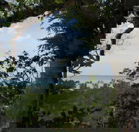 Channel Point Coastal Reserve