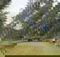Chaelundi National Park - Hervey Bay Accommodation