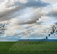 Clare Valley - Tourism Hervey Bay