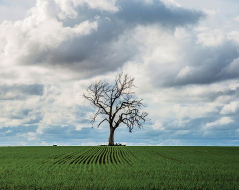 Clare Valley - Tourism Hervey Bay 0