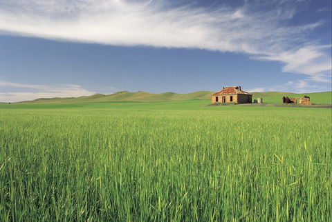 Clare Valley - Tourism Hervey Bay 1