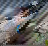 Delta Force Paintball - Tourism Hervey Bay