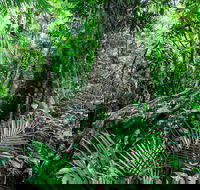 Djiru National Park - Hervey Bay Accommodation