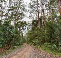 End Peak walking track - Hervey Bay Accommodation