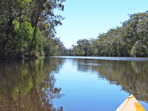 Esk River - Tourism Hervey Bay 0