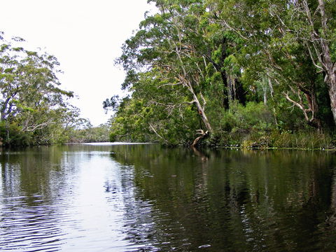 Esk River - Tourism Hervey Bay 2