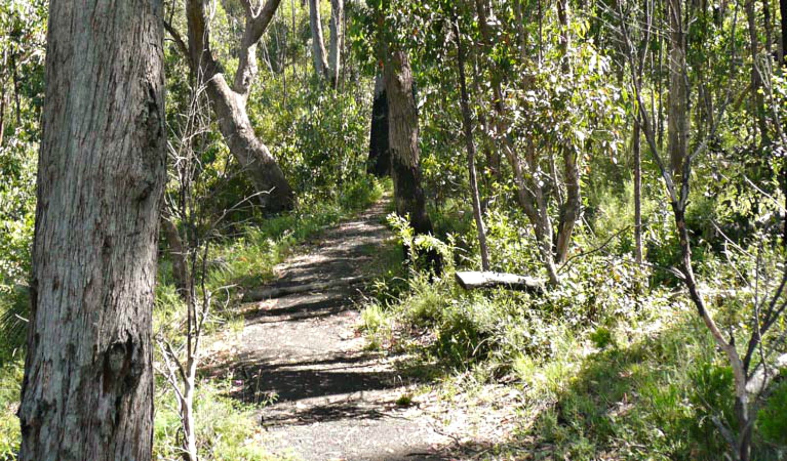  Hervey Bay Accommodation