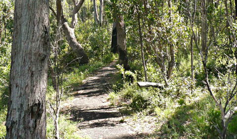 Euglah Rock Walking Track - Hervey Bay Accommodation 0
